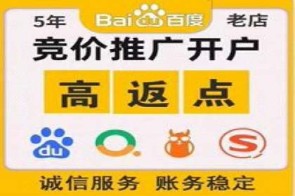 从新手到高手：百度竞价实战案例分析